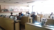بازدید